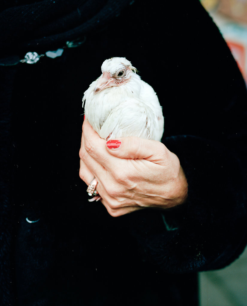 BIRD | IHMEZENTRUM HANNOVER